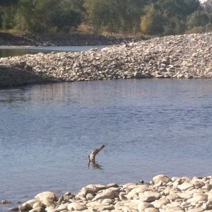 Meet your Posher, Eder